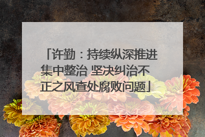 许勤：持续纵深推进集中整治 坚决纠治不正之风查处腐败问题