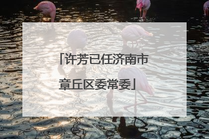 许芳已任济南市章丘区委常委