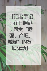 记者手记：在日照港，感受“港强、产旺、城绿”的发展脉动