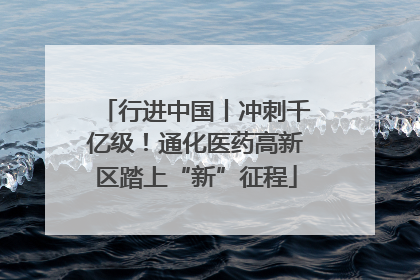 行进中国丨冲刺千亿级！通化医药高新区踏上“新”征程