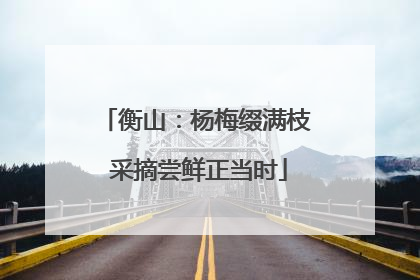 衡山：杨梅缀满枝 采摘尝鲜正当时