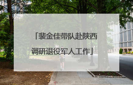 裴金佳带队赴陕西调研退役军人工作