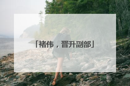 褚伟，晋升副部