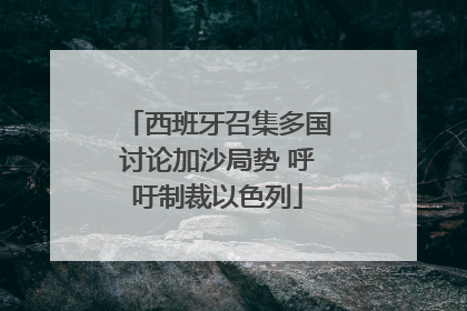 西班牙召集多国讨论加沙局势 呼吁制裁以色列