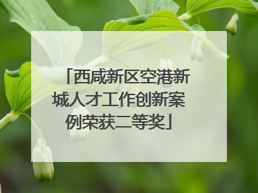 西咸新区空港新城人才工作创新案例荣获二等奖