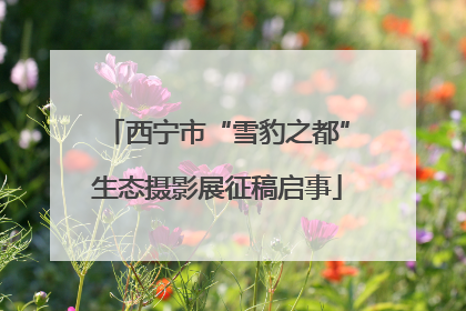 西宁市“雪豹之都”生态摄影展征稿启事