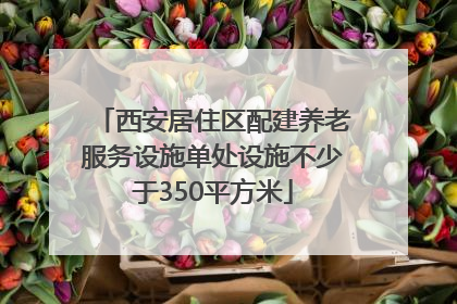 西安居住区配建养老服务设施单处设施不少于350平方米