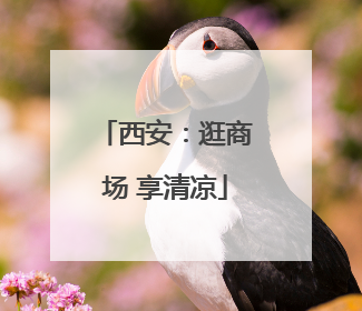 西安：逛商场 享清凉