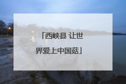 西峡县 让世界爱上中国菇