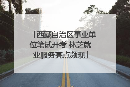 西藏自治区事业单位笔试开考 林芝就业服务亮点频现