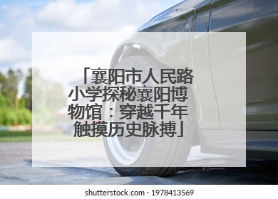 襄阳市人民路小学探秘襄阳博物馆：穿越千年触摸历史脉搏