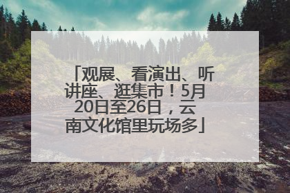 观展、看演出、听讲座、逛集市！5月20日至26日，云南文化馆里玩场多