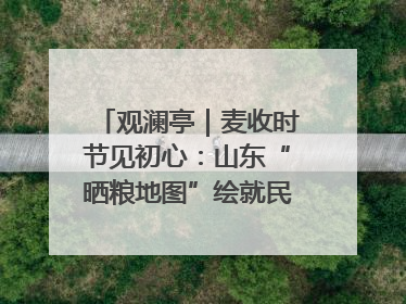 观澜亭｜麦收时节见初心：山东“晒粮地图”绘就民生温暖画卷