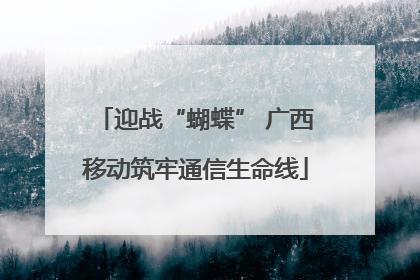 迎战“蝴蝶” 广西移动筑牢通信生命线