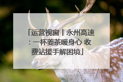 运营视窗丨永州高速：一杯姜茶暖身心 收费站援手解困境