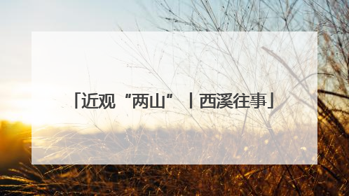 近观“两山”丨西溪往事