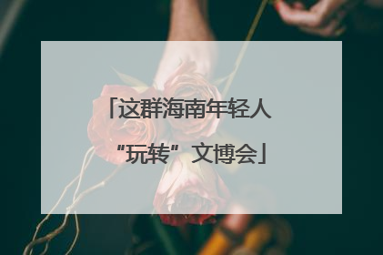 这群海南年轻人“玩转”文博会