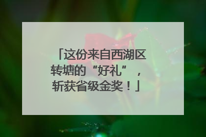 这份来自西湖区转塘的“好礼”，斩获省级金奖！