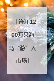 连江1200万只海马“游”入市场