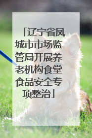 辽宁省凤城市市场监管局开展养老机构食堂食品安全专项整治