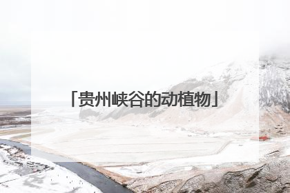 贵州峡谷的动植物