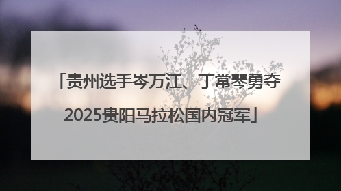 贵州选手岑万江、丁常琴勇夺2025贵阳马拉松国内冠军