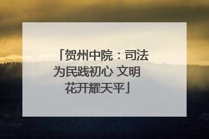 贺州中院：司法为民践初心 文明花开耀天平