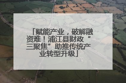 赋能产业，破解融资难！浦江县财政“三聚焦”助推传统产业转型升级