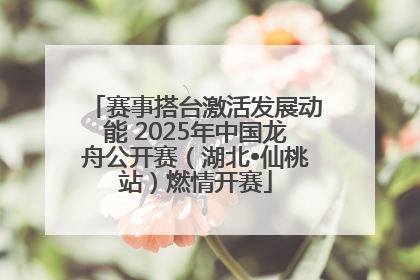 赛事搭台激活发展动能 2025年中国龙舟公开赛（湖北•仙桃站）燃情开赛