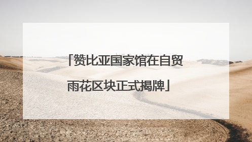 赞比亚国家馆在自贸雨花区块正式揭牌