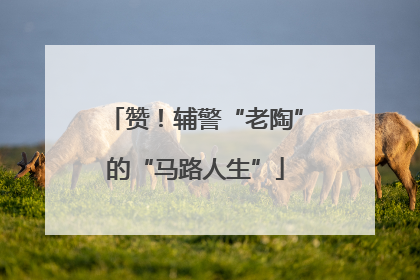 赞！辅警“老陶”的“马路人生”