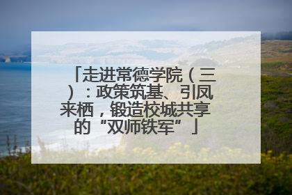 走进常德学院（三）：政策筑基、引凤来栖，锻造校城共享的“双师铁军”