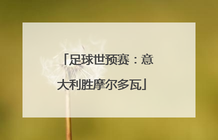 足球世预赛：意大利胜摩尔多瓦