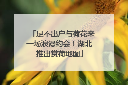 足不出户与荷花来一场浪漫约会！湖北推出赏荷地图
