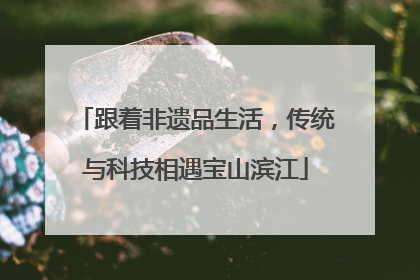 跟着非遗品生活，传统与科技相遇宝山滨江