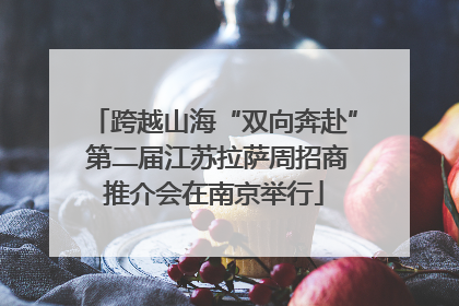 跨越山海“双向奔赴” 第二届江苏拉萨周招商推介会在南京举行