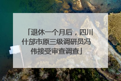 退休一个月后，四川什邡市原三级调研员冯伟接受审查调查