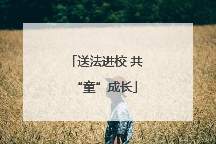 送法进校 共“童”成长