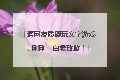 遭网友质疑玩文字游戏，刚刚，白象致歉！