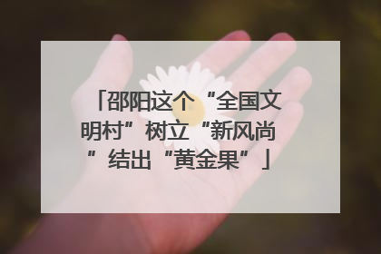 邵阳这个“全国文明村”树立“新风尚”结出“黄金果”