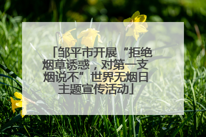 邹平市开展“拒绝烟草诱惑，对第一支烟说不”世界无烟日主题宣传活动