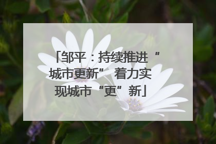 邹平：持续推进“城市更新” 着力实现城市“更”新