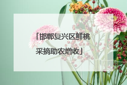 邯郸复兴区鲜桃采摘助农增收