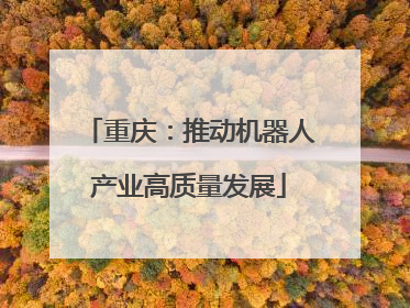 重庆：推动机器人产业高质量发展
