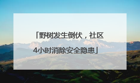 野树发生倒伏，社区4小时消除安全隐患