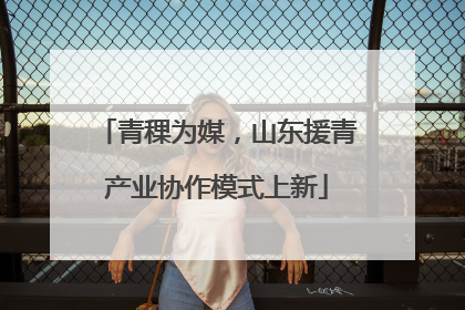 青稞为媒，山东援青产业协作模式上新