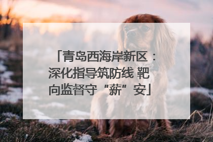 青岛西海岸新区：深化指导筑防线 靶向监督守“薪”安