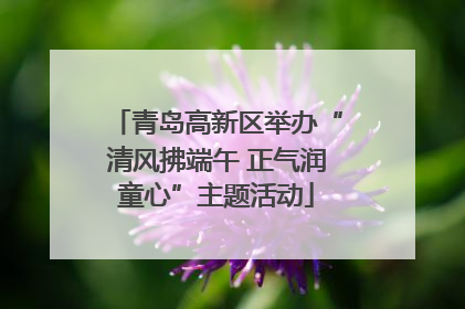 青岛高新区举办“清风拂端午 正气润童心”主题活动