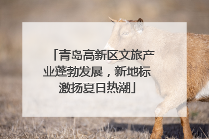 青岛高新区文旅产业蓬勃发展，新地标激扬夏日热潮