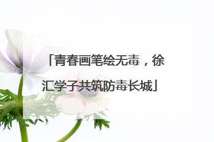 青春画笔绘无毒，徐汇学子共筑防毒长城